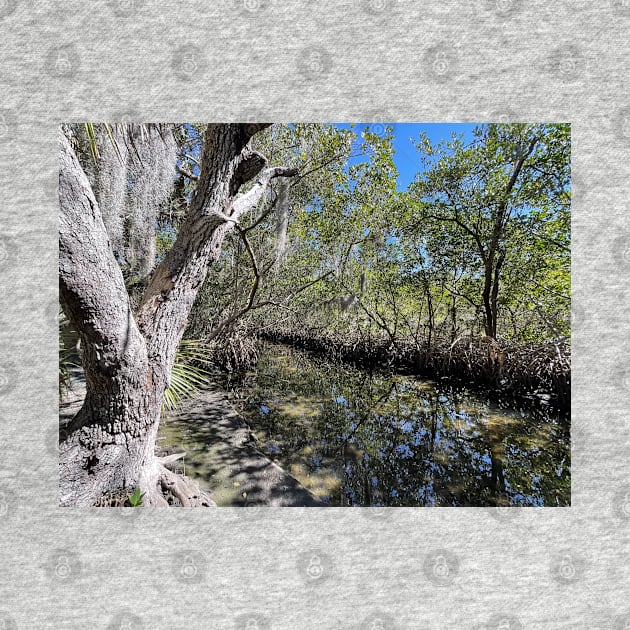 Mangroves and Stream by Sparkleweather